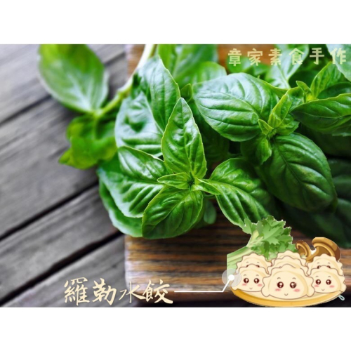【章家素食手作】羅勒水餃 一包50顆裝