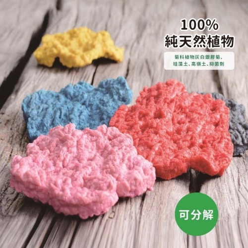 MoSkin 魔膚 天然去角質淨肌煥膚片 大花/大腳丫 (贈3合1)
