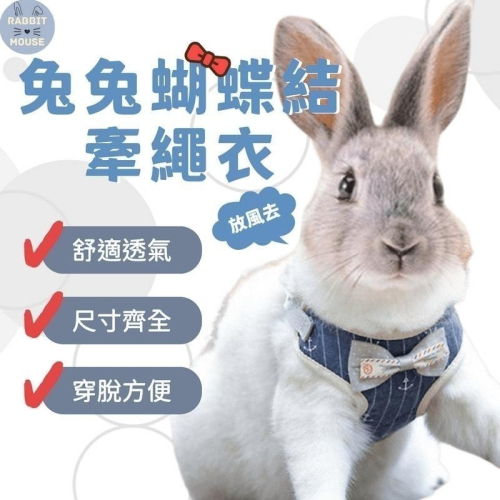 『現貨』兔子牽引繩 兔子牽繩 夏季背心 兔子外出 防咬掙脫鍊子 兔子外出專用 兔子用品 寵物牽引繩 溜兔繩 可調節
