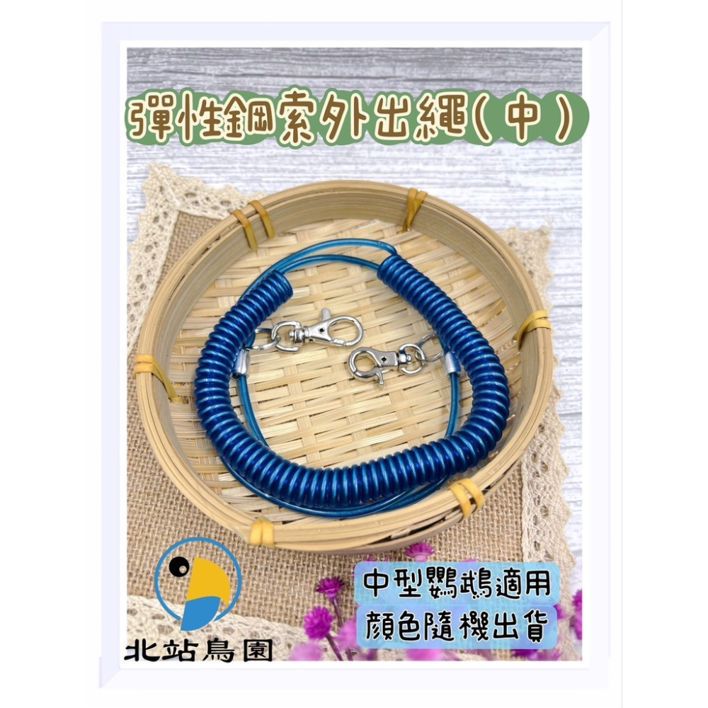 （顏色隨機出貨）彈性鋼索外出繩（中）/ 寵物鳥、鸚鵡用