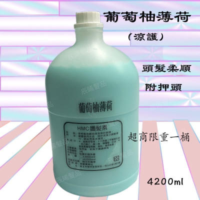 ✝️辰晞髮品✝️ 葡萄柚薄荷護髮素 護髮乳 瞬間護髮 美髮 沙龍 家庭號 4200ml