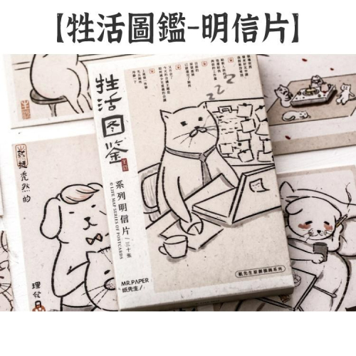 RAYRAYGO 紙先生 明信片【牲活圖鑑系列】 30張 創意明信片 水墨風 動物插畫 卡片牆貼 手帳裝飾 拼貼素材