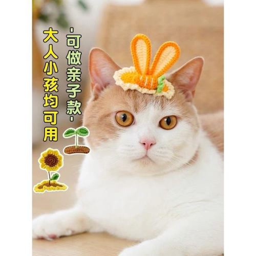 多咪多 立體髮夾 小花髮夾 小草髮夾 髮夾 貓髮夾 狗髮夾 寵物配件 帽子髮夾 兔耳朵