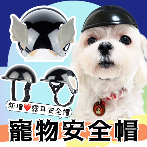 寵物安全帽 狗安全帽 狗狗安全帽