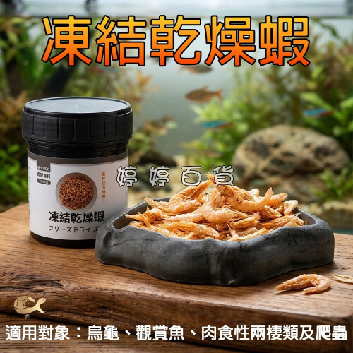 利達祥 兩爬專科 凍結乾燥蝦 蝦乾 兩棲爬蟲 水龜 澤龜 觀賞魚 婷婷水族 兩棲爬蟲