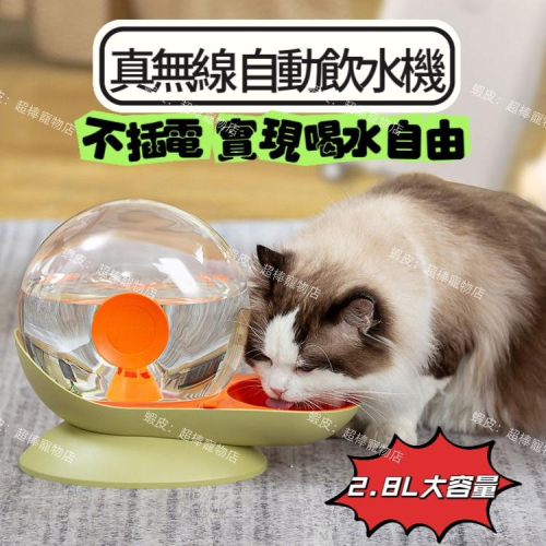 【超棒寵物】免運速發最新款⭐寵物自動蝸牛飲水機 2.8L 水盆水碗 不濕嘴 免插電 過濾 大容量