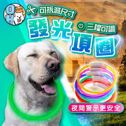 【秒發?免運】寵物LED發光項圈 發光項圈 寵物項圈 USB充電式寵物發光項圈 發亮項圈 寵物項圈 螢光夜光狗圈 項圈