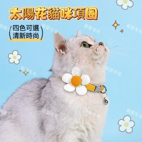 寵愛毛宅 寵物項圈 貓咪項圈 小狗項圈 太陽花項圈 鈴鐺項圈 花朵項圈 寵物脖子裝飾