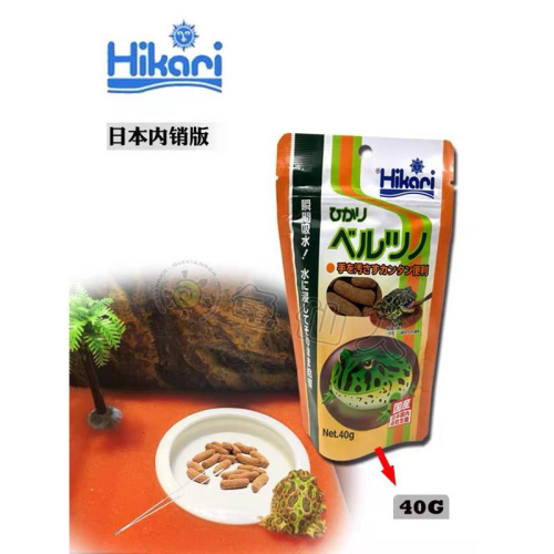 【楊媽媽水族】Hikari 高夠力 角蛙飼料 40g