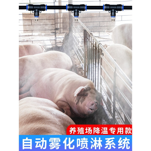 養殖場定時噴霧系統豬場雞舍養牛降溫設備霧化微噴淋加濕噴頭