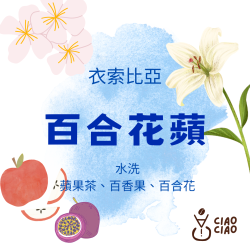 ［手挑精品豆 | 悄悄咖啡ciao ciao ］藝伎 百合花蘋咖啡豆
