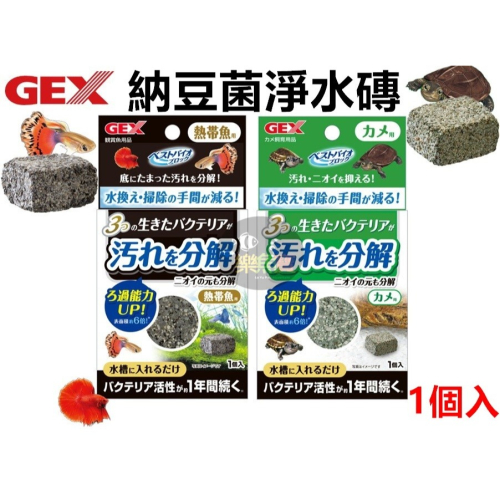 五味 GEX 納豆菌 淨水磚 (烏龜用、熱帶魚用) 淨水環 納豆 分解髒汙 淨水磚 納豆菌磚 (1盒1入)