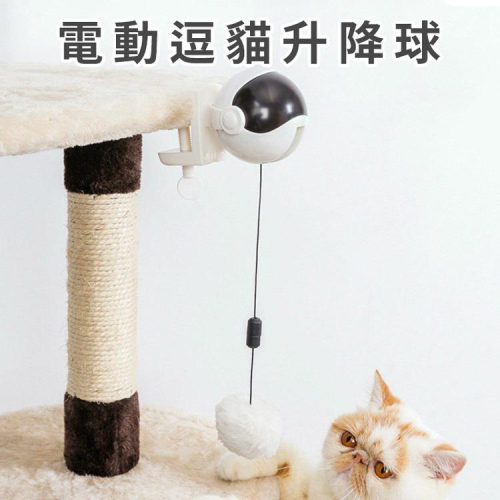 促銷 貓用玩具 電動逗貓升降球 逗貓玩具(白色) 自動升降遊戲玩伴 可拆卸清洗毛球 自嗨逗貓玩具