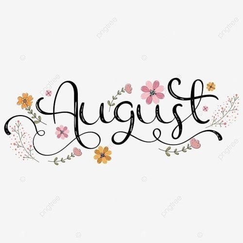 8月上架