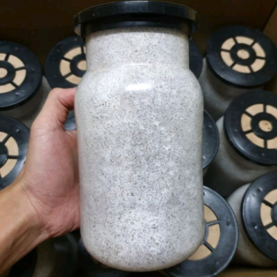 【蟲心初現】菌瓶（甲蟲專用）大村菌瓶 甲蟲菌瓶 蝦皮代開發票
