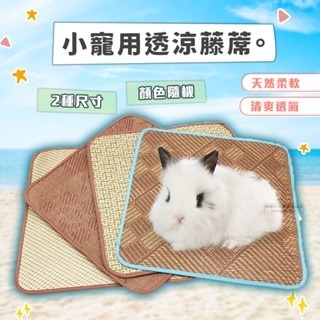 【現貨】小寵用透涼藤蓆 寵物用藤蓆 天然藤蓆 小寵用涼蓆 小寵用竹蓆 小寵用涼感睡墊 兔用睡墊 兔用消暑用品