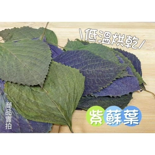 乾燥紫蘇葉 保健草 天然栽種 手工採收 無農藥 低溫乾燥 紅紫蘇 兔子 天竺鼠