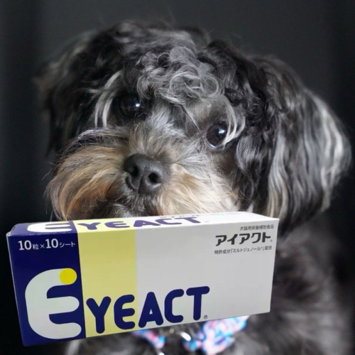 日本全藥 眼錠 EYEACT 犬貓用 100錠 犬貓眼睛保養