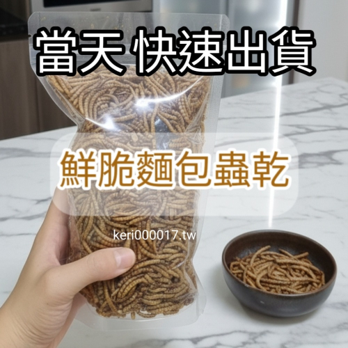 當天 快速出貨 麵包蟲 黃粉蟲 麵包蟲乾 鬆獅蜥 刺蝟 倉鼠 鳥 龜 守宮 蜜袋鼯 蜥蜴 飼料