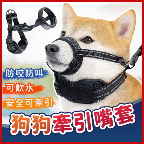 【現貨新款】可牽引狗嘴套 寵物嘴套 狗狗防咬防叫嘴套 外出嘴套 寵物防咬 狗嘴套 防叫 防咬嘴套