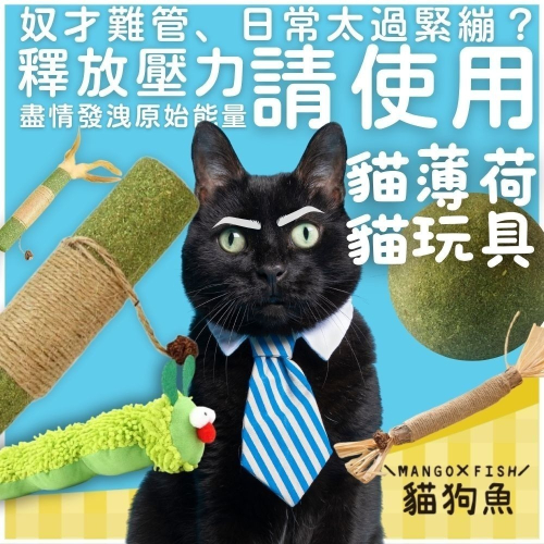 升級版 木天蓼 磨牙棒 木天蓼棒棒 蟲癭果 木天蓼棒 貓咪潔牙 貓咪磨牙 貓咪玩具