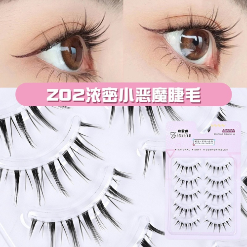 Z02 假睫毛 五對裝