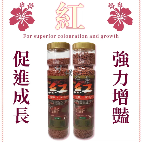 紅 觀賞魚飼料【小顆粒／中顆粒 上浮性】增豔飼料 促進成長 花羅漢 血鸚鵡 金魚 蝦紅素 胡蘿蔔素 婷婷水族 兩棲爬寵