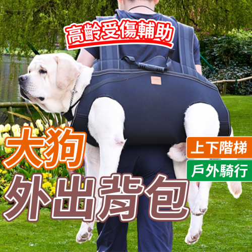 現貨?大狗背包 中大型犬寵物背包 前後可背寵物包 狗狗背帶 輔助帶 寵物外出包 狗狗外出包 狗背包 老狗背帶 狗狗背包