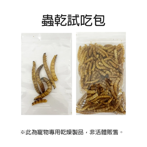 【現貨】 蟲乾試吃包 大麥蟲乾 麵包蟲乾 超級麵包蟲 刺蝟 倉鼠 寵物鼠 蜜袋鼯 爬蟲類 蜥蜴 鳥類 觀賞魚 兩棲爬蟲