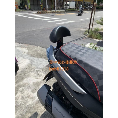 TEB 台中安心後靠背 5mm厚支架 白鐵 不生鏽 黑鐵支架 Xciting 刺激 250 300 400 靠背 後靠背