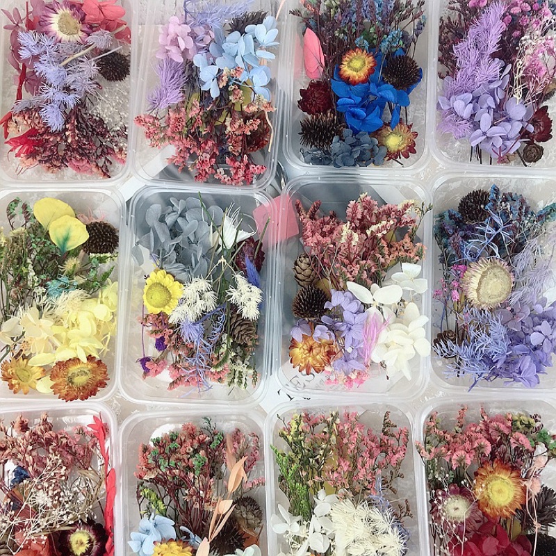 現貨?熱賣diy材料包 一盒 乾燥花 永生花 擴香石 材料 不凋花 浮游花 蠟燭香薰 手工活動壓花 相框 拍照道具