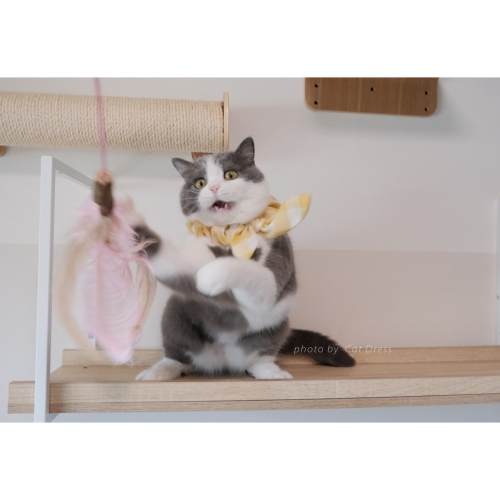 Cat Dress 貓手作 _長短結領巾 黃色大方格蝶結款 裝飾領巾 手作項圈