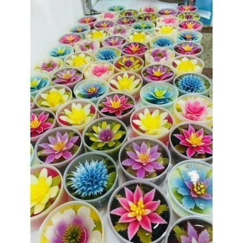 【米米姐柑仔店】天然蒟蒻果凍花/胖胖杯組