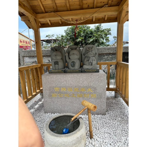 2罐全新