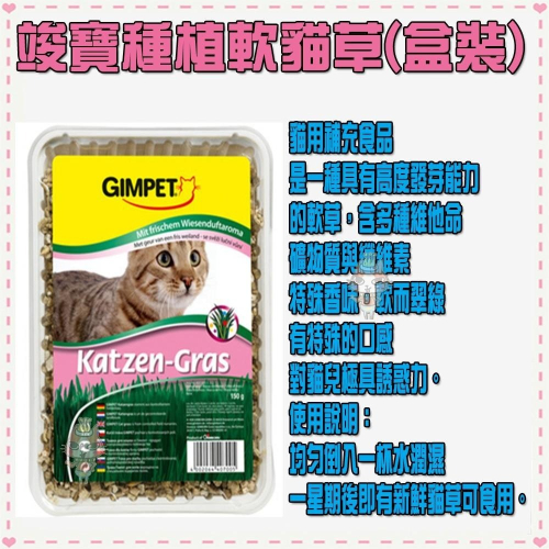 ~Petroyal~Gimpet 駿寶/竣寶/俊寶自種軟貓草(盒裝)Gimcat 小麥草 貓薄荷 種子 diy