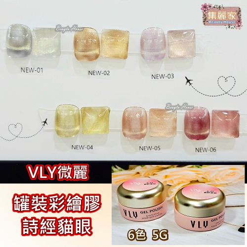 【集麗家】VLY罐裝彩繪膠 [詩經貓眼] 6色 台灣品牌 色彩飽滿 沙龍級美甲 工藝 上色 彩繪 專業推薦 美甲師最愛