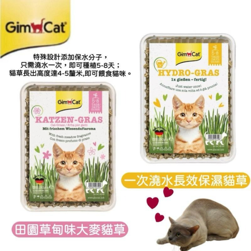 ~Petroyal~Gimpet 駿寶/竣寶/俊寶 自種軟貓草 盒裝 Gimcat 小麥草 貓薄荷 大麥草 貓草種子