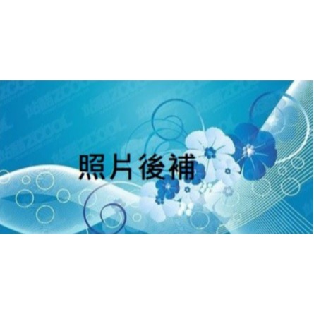 ❣️ 美妍社 ❣️ 北条博士 Dr.Hojyo 卸晶風膠囊狀食品 30粒