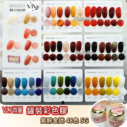 【集麗家】VLY罐裝彩繪膠[紫醉金迷]日本罐裝彩繪膠 48色 色彩飽滿 美甲 工藝 上色 彩繪 專業推薦 美甲師最愛