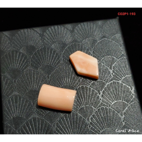 ?Coral珊寶手作-天然中途島珊瑚造型裸石 CO2P1-193