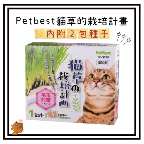 ~Petroyal~ Pet Best 貓草的栽培計劃兩包入 貓草種子 貓草盆栽 DIY貓草種植組 貓薄荷 大麥 黑麥