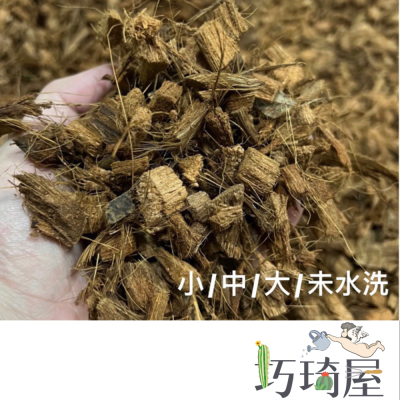 椰塊1公升 椰子殼 鹿角蕨 觀葉植物介質 栽培 椰殼 蘭花介質 雨林介質 培養土 觀葉植物 角蛙昆蟲墊材