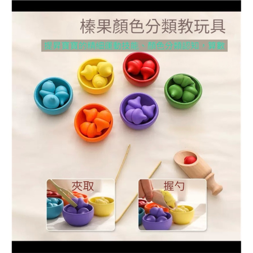 蒙氏教具 木製顏色分類玩具｜幼兒早教｜色彩認知｜感官發展訓練