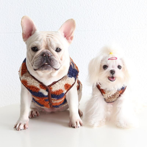 Petstyle 迷彩馬甲秋冬款 法鬥貴賓猫咪各體型皆合適衣服寵物衣服狗衣服