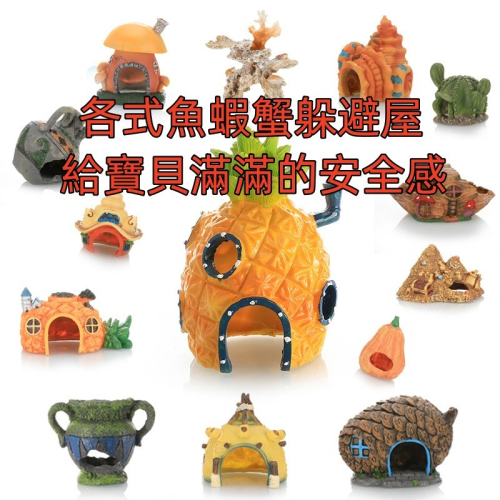 魚缸造景 躲避屋 繁殖甕 鳳梨屋 蟹堡王