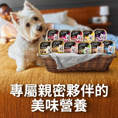 Cesar 西莎 狗餐盒 100g 精緻餐盒 犬用 狗罐頭 狗罐 西沙 狗食 狗糧 乾糧 公司貨