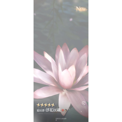 豆子獎牌補寄 內退100