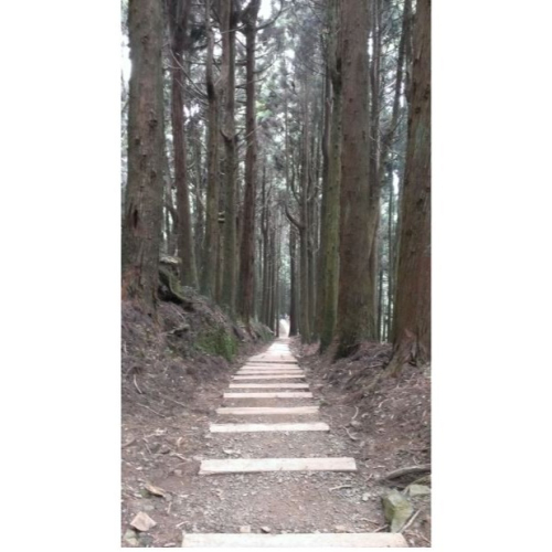 照片-特富野