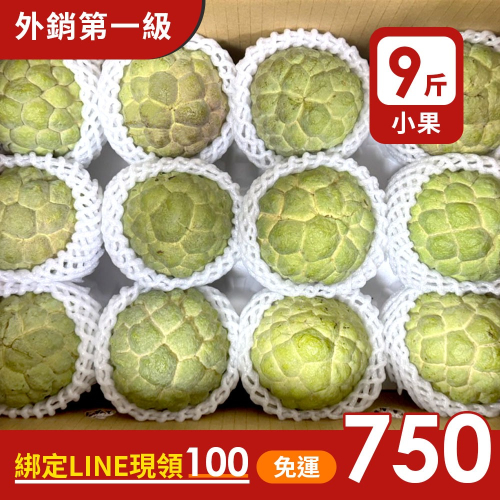 預購中【果樂釋迦專賣】大目釋迦小果/9斤一箱