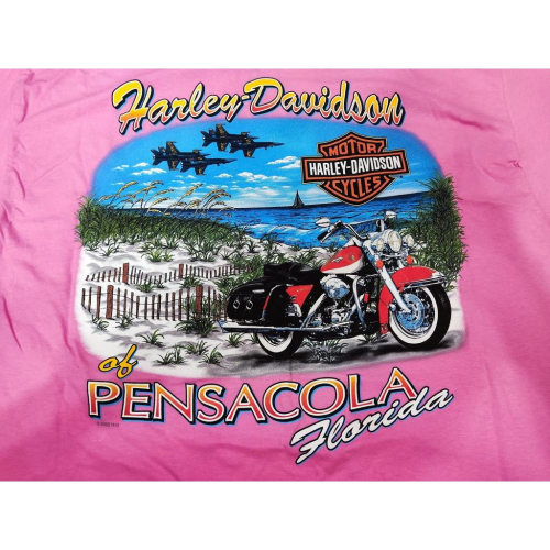 【美國HARLEY-DAVIDSON】哈雷 佛羅里達州 限定版短T 戰鬥機 美式機車 雙面圖案 粉紅色純棉短袖T恤L號